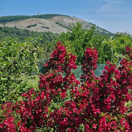 Proneco Maison d'hôtes Klentnice
