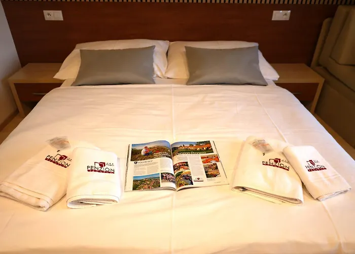 Penzion Proneco 3*